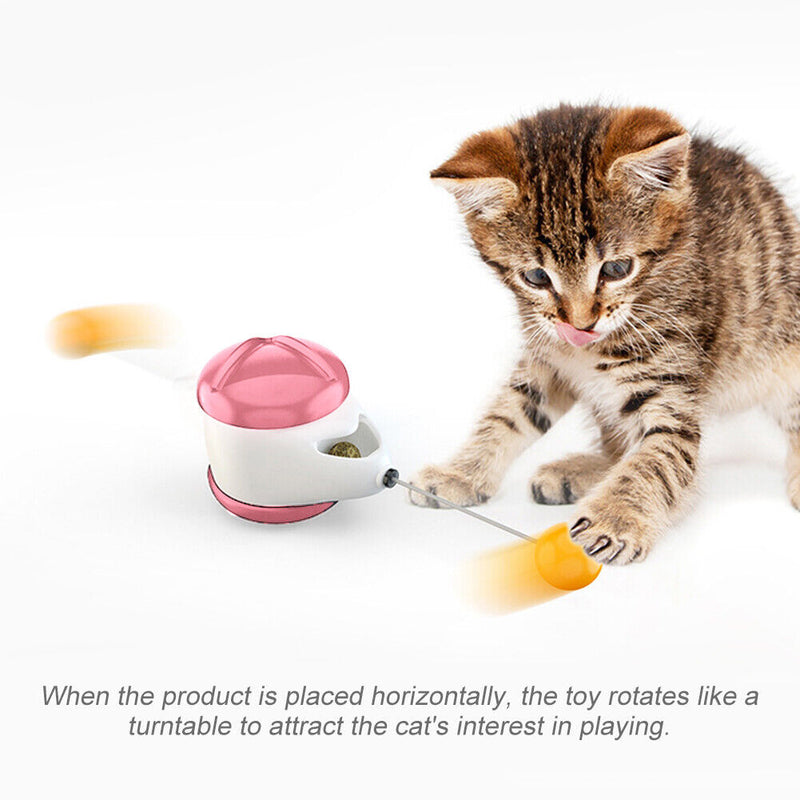 #A Funny Balance Car Wear-resistant Interactive Game Creative for Home Pet Suppl