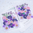 Dried Flower Material Package Real Pressed Dry Flowers & Leaves (Purple) Newly