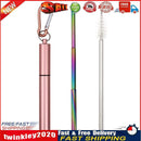Outdoor Reusable Collapsible Drinking Straw Suit with Cleaning Brush (D) Newly