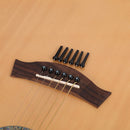 6pcs Ebony Guitar Bridge Pins String Fixed Cone Nail with Storage Box Tailpiece