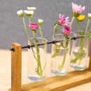 Ornament Hydroponic Plant Vase Plant Flower Pot Glass Vase Flower Arrangement