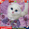 Cute Little Cat 5D Diamond DIY Painting Craft Kit Home Decor Newly