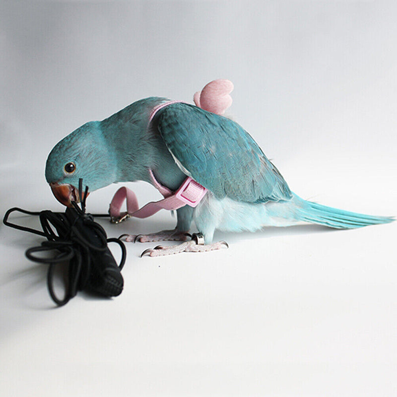 Ultra Light Parrot Flying Sling Leash Training Bird Traction Strap (Pink) Newly