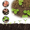 Seed Starter Tray Kit Biodegradable Gardening Germination Pulp Pots - 12 Cells