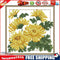 Partial Cross Stitch Kit November 14CT Counted DIY Needlework Decor (H433)