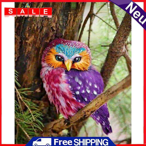 Oil Painting By Numbers Acrylic Handmade Art Colorful Owls Digital Picture Decor