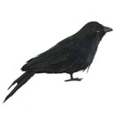 Halloween Black Feathered Crows Realistic Black Birds Ravens Props.