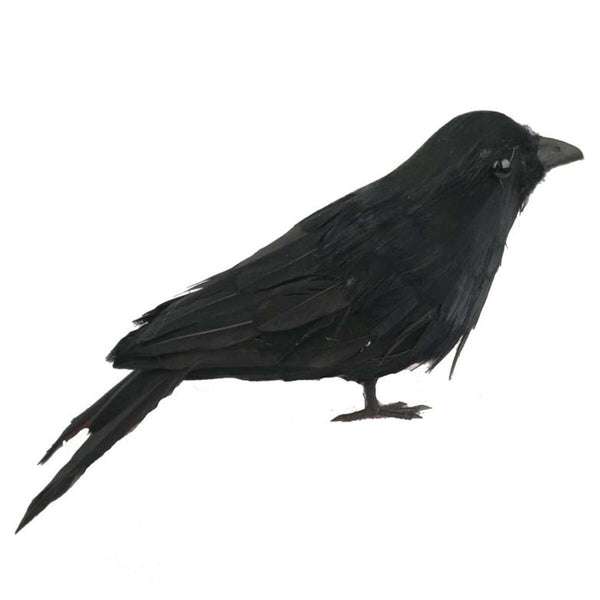 Halloween Black Feathered Crows Realistic Black Birds Ravens Props.