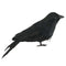 Halloween Black Feathered Crows Realistic Black Birds Ravens Props.
