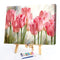 Oil Painting By Numbers Pink Roses Acrylic Paints Canvas Coloring Pictures