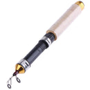 60cm Portable Telescopic Winter Ice Fishing Fish Rod Spinning Cast Tackle