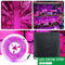 5m Solar Panel Full Spectrum Phyto Lamp 2835 SMD LED Plant Grow Light Strip
