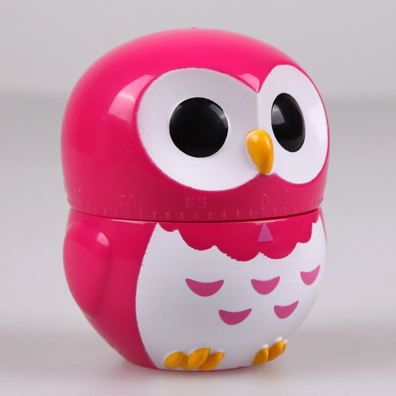 Owl Cartoon Kitchen Timers 60 Minutes Cooking Mechanical Home Decor RoseRed