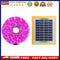 Solar LED Plant Grow Light Strip Full Spectrum 5V Phyto Lamp for Greenhouse