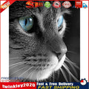 Frameless Oil Paint By Numbers Cat DIY Canvas Picture Craft Kit for Home Newly
