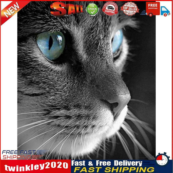 Frameless Oil Paint By Numbers Cat DIY Canvas Picture Craft Kit for Home Newly