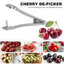 Cherry Pitter Tool - Home Kitchen Stainless Steel Fruit Pit Core Remover
