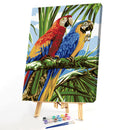 DIY Digital Oil Painting By Numbers Kits Two Parrots Animals Art Picture 40x5