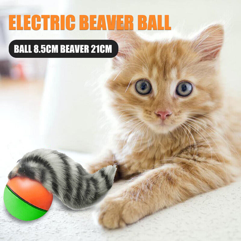 Electric Beaver Weasel Rolling Ball Teeth Grinding Toys for Pet Dog Cat Random