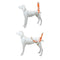 Dog Dog Walking Dog Lifting Belt Pet Auxiliary Belt Pet Lift Support Harness