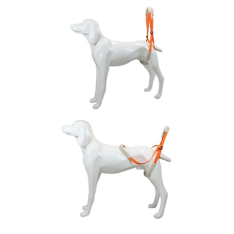 Dog Dog Walking Dog Lifting Belt Pet Auxiliary Belt Pet Lift Support Harness