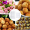 9 Holes Meatball Maker Machine Manual Meatloaf Minced Meat Processor Mold
