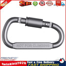 D-ring Locking Carabiner Clip Hanging Hook Buckle Outdoor EDC Tools (Grey) Newly
