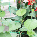 Trellis Netting for Climbing Plants - Heavy Duty Gouryard Trellis Netting Newly