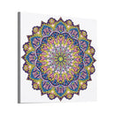 Partial Drill 5D Special Shape Diamond Painting Abstract Mandala Kit (X054)
