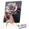 40x50cm Frameless Flower Girl Painting DIY Oil Paint By Numbers Picture Decor