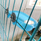 With Mirror Home Hamper Bath Basin Parrot Bathtub Bird Cage Pet Supplies