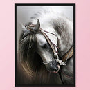 Cross Stitch Kits 11CT Stamped DIY Horse Full Embroider Needlework