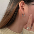 Fashion Twist Winding Earring S925 Earrings Party Jewelry Geometric Earring