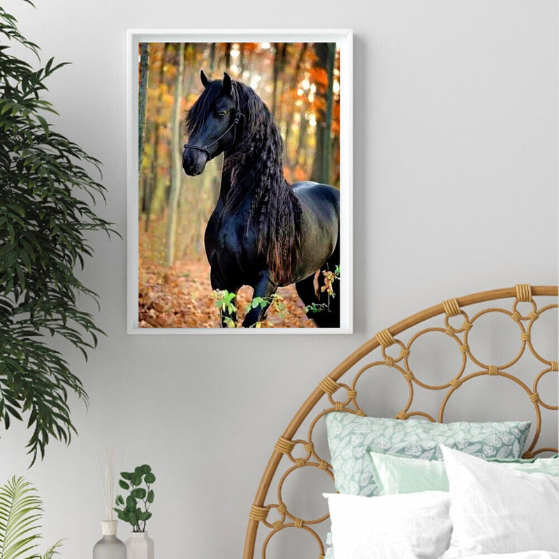 Black Horse DIY Zero Basis Paint by Number Kits Kill Time Picture Colouring