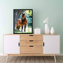 5D DIY Diamond Painting Kits Full Round Drill Horse Mosaic Picture Animal Crafts