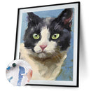 Oil Paint Cat By Numbers Coloring Picture Digital Drawing