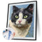 Oil Paint Cat By Numbers Coloring Picture Digital Drawing