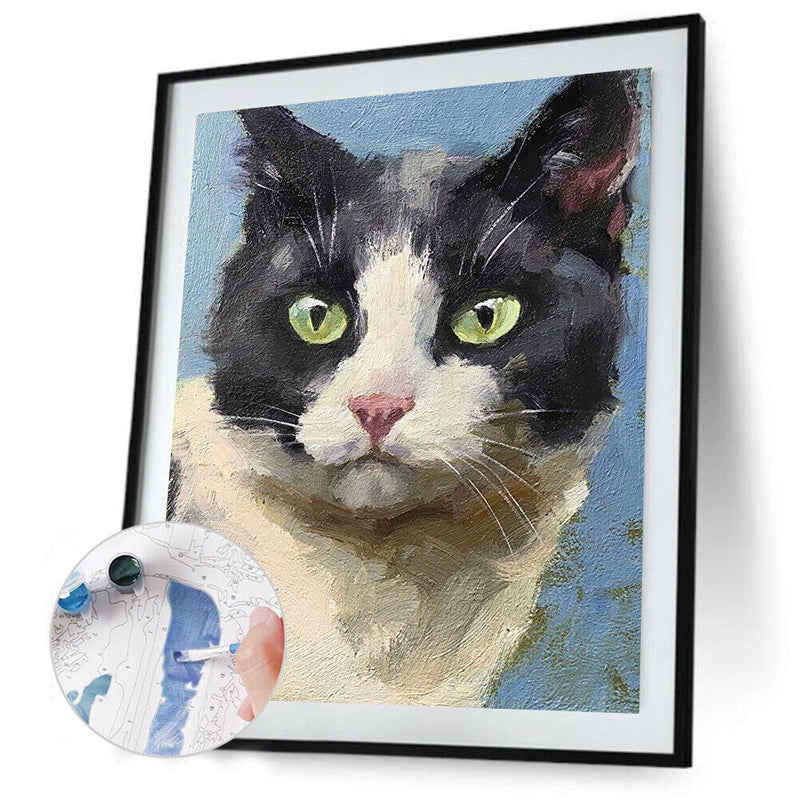 Oil Paint Cat By Numbers Coloring Picture Digital Drawing