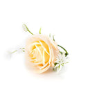 Preserved Single Rose Soap Flower Gift Box Valentines Day Gifts (Champagne)