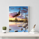 Painting By Numbers Kit DIY Animal Eagle Canvas Oil Art Picture Home Decor