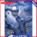5D DIY Diamond Painting Owl Full Round Drill Mosaic Art Picture Home Decor Kit