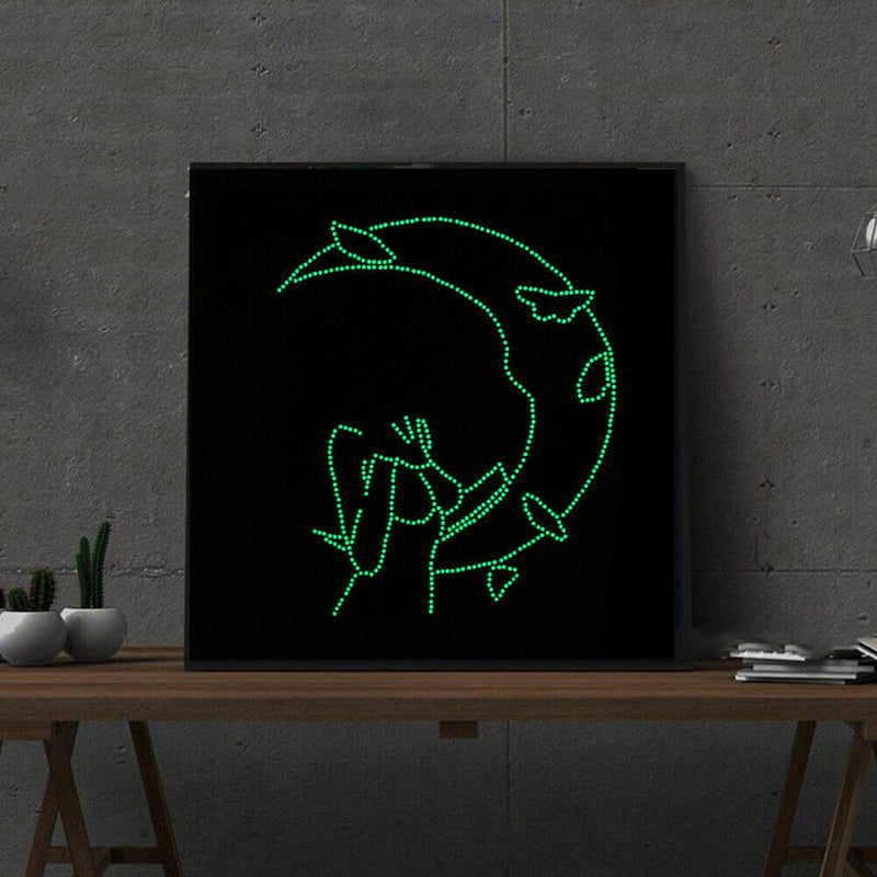 5D DIY Part Special Shaped Drill Diamond Painting Girl Moon Luminous Art