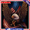 Handpainted DIY Eagle Flag Oil Paint by Numbers Pictures Artwork Craft Kit Gifts