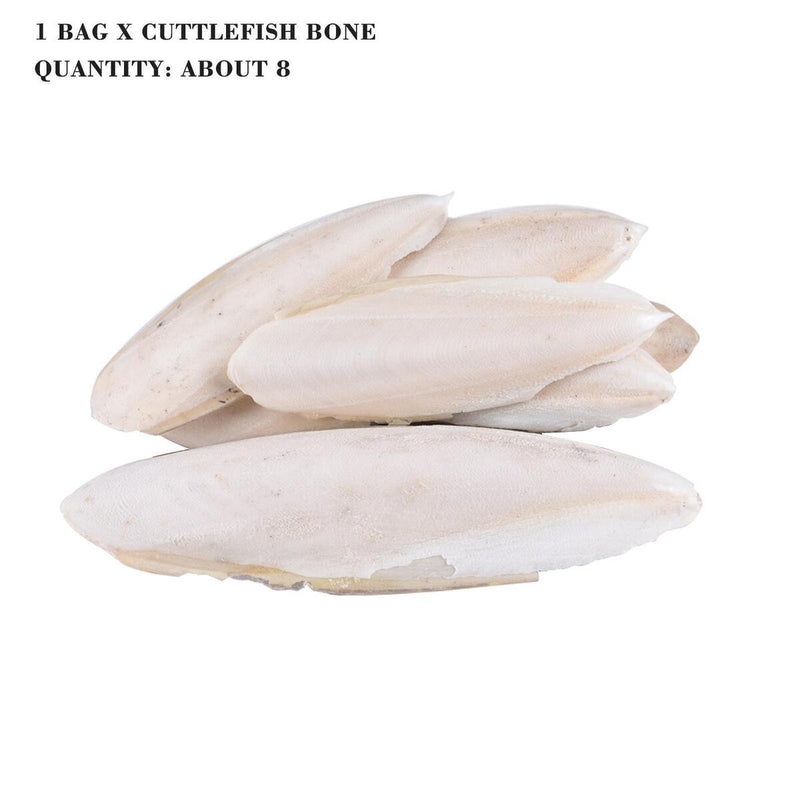 1 bag Cuttlebone Cuttlefish Bone Sepia Cuttle Fish Food Pickstone Calcium N3Z3