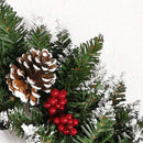 Christmas LED Wreath Garland Door Window Garden Wall Farmhouse Decoration