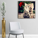 5D DIY Diamond Painting Kits Full Round Drill Cat Rose Mosaic Picture (E1746)