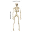 Decoration Outdoor Hanging Poseable Size Human Skeleton Halloween Scary Props