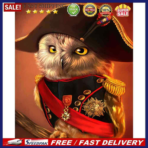 Oil Painting By Numbers Acrylic Handmade Art Owl Digital Picture for Home Decor