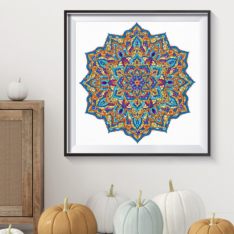 Partial Drill 5D Special Shape Diamond Painting Abstract Mandala Kit (X052)