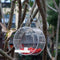 Acrylic Bird Feeder Outdoor Hanging Transparent Bird Food Seed Holder Box